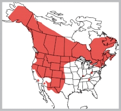 North American Porcupine Range Map