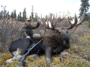 Alaskan Moose Size